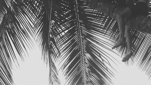 Peut-on louer un cottage dans les Highlands écossais pour une retraite paisible ?